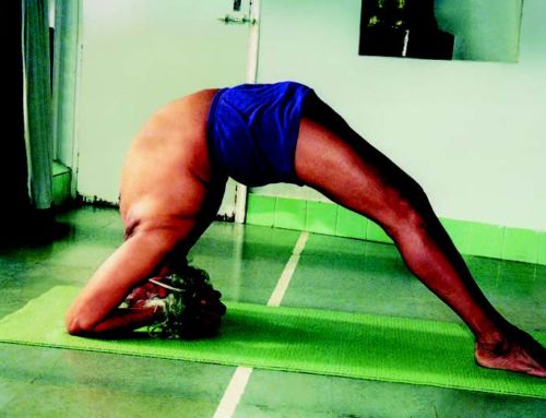 Why Iyengar Yoga